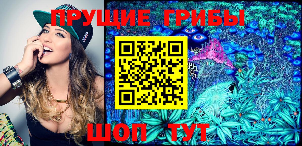 Сибай  Галлюциногенные грибы MAGIC MUSHROOMS  Вход с VPN  Псилоцибиновые грибы мицелий 